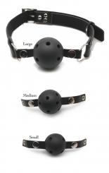 Ball Gag Training System 