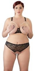 Cottelli CURVES BH und String 
