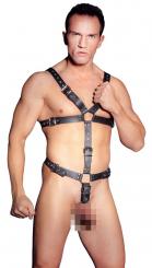 Harness 