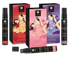 Shunga Waves of Pleasure 