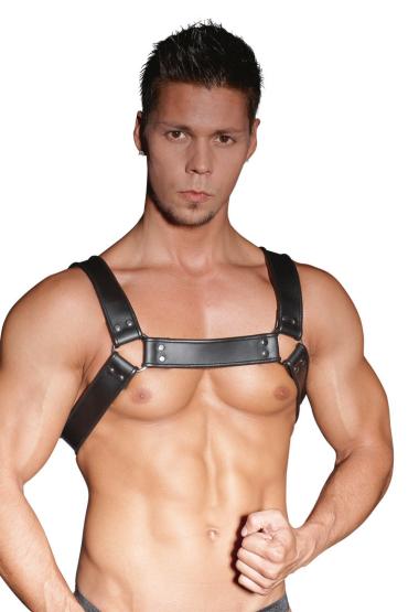 Leder-Brustharness 