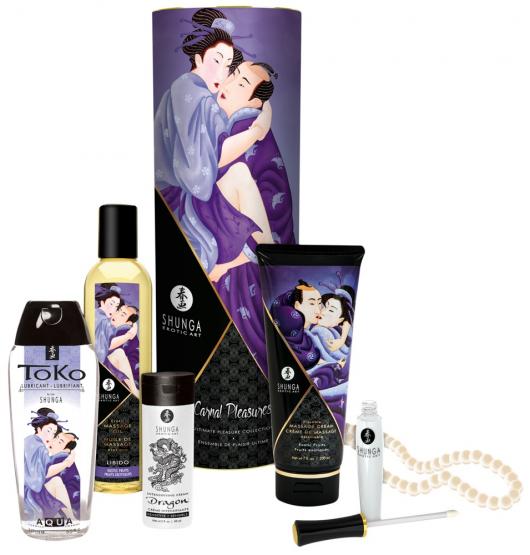 Shunga Carnal Pleasures 