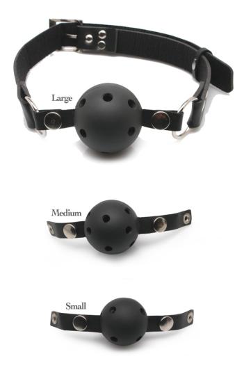 Ball Gag Training System 