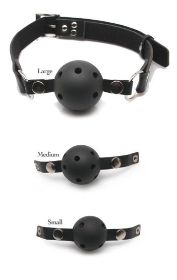 Ball Gag Training System 