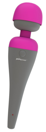 PalmPower Massager 