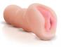 morepic-1