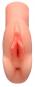 morepic-1