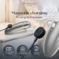 Womanizer Pro Silber