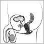 Anos Butt Plug mit Vibration (8,9 cm, Ø 3 cm) 