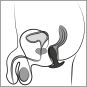 Anos Butt Plug mit Vibration (8,9 cm, Ø 3 cm) 