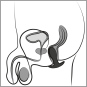 Anos Butt Plug mit Vibration (8,9 cm, Ø 3 cm) 