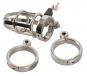 Chastity Cage 