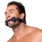 Bad Kitty Bone Gag 