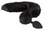 Bad Kitty Pet Play Plug & Ears 