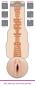 Fleshlight Nicole Aniston Fit 