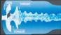 Fleshlight Turbo Thrust 
