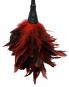 Frisky Feather Duster 
