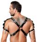 Herren Brustharness aus Leder (S-L) 