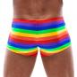 Herren Pants Regenbogen XL