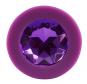 Colorful Joy Jewel Purple Plug 