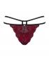Obsessive String Sugestina S/M