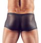 Herren Pants aus transparentem Powernet M