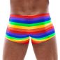 Herren Pants Regenbogen M