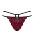 Obsessive String Sugestina S/M