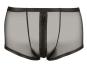 Herren Pants aus transparentem Powernet M