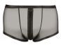 Herren Pants aus transparentem Powernet M