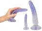 Crystal Clear Anal Training Set Dildo 