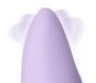 morepic-5