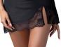 Obsessive Set Lobellis (XL/2XL) 