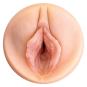 morepic-5