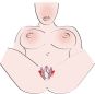 Intimate Spreader 
