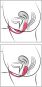Sweet Smile RC Double Pleasure Love Ball 