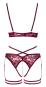 Abierta Fina Ouvert-Set mit BH & Straps-Slip S