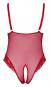 Cottelli Curves Roter Body XL