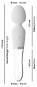 Liaison Wand LED Vibrator 