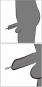 Hollow Dilator 
