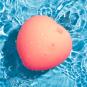 ROMP Pink Peach Pulsator 
