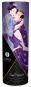 Shunga Carnal Pleasures 