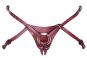 Roter Strap-on aus Leder 2XL