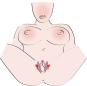 Intimate Spreader 