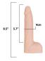 morepic-8