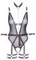 Body ouvert L