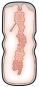 Stroker Style Masturbator Oral 