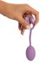 Vaginal Trainer with Bouncing Weights 